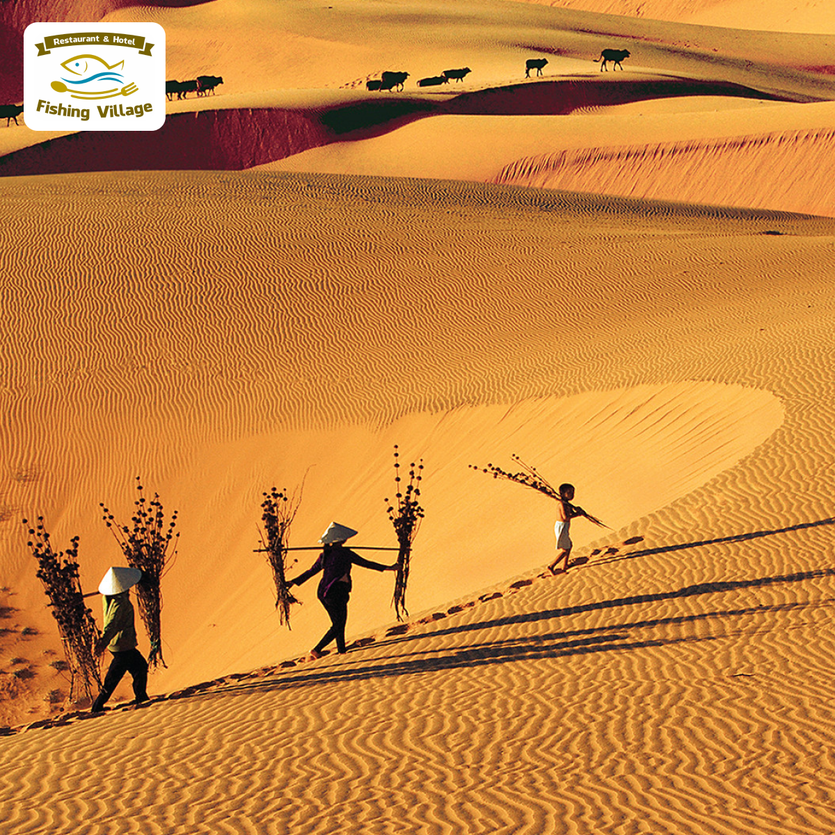 C&aacute;c địa điểm nhất định phải gh&eacute; đến khi đến Phan Thiết