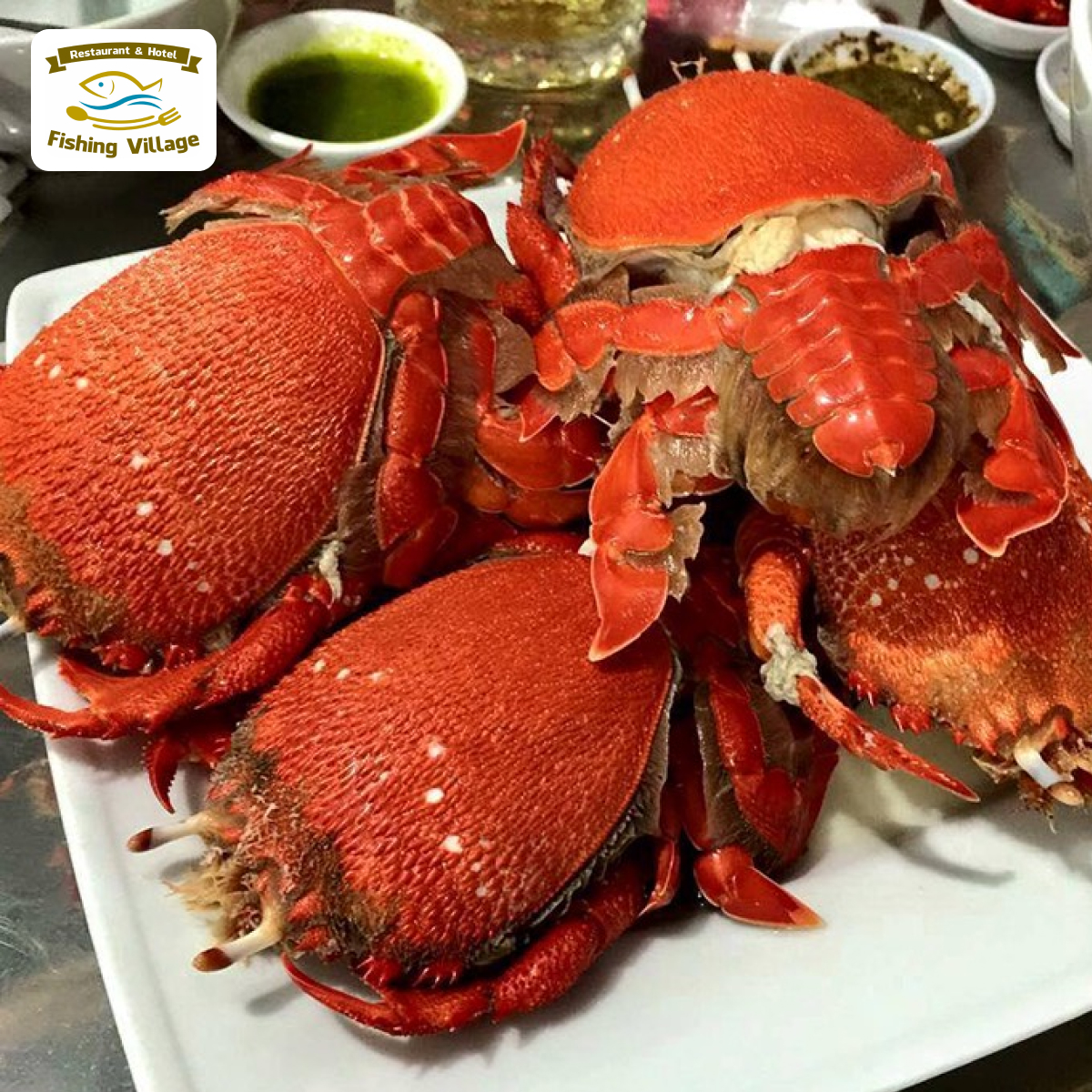 C&aacute;c Loại Hải Sản Ngon ở Phan Thiết