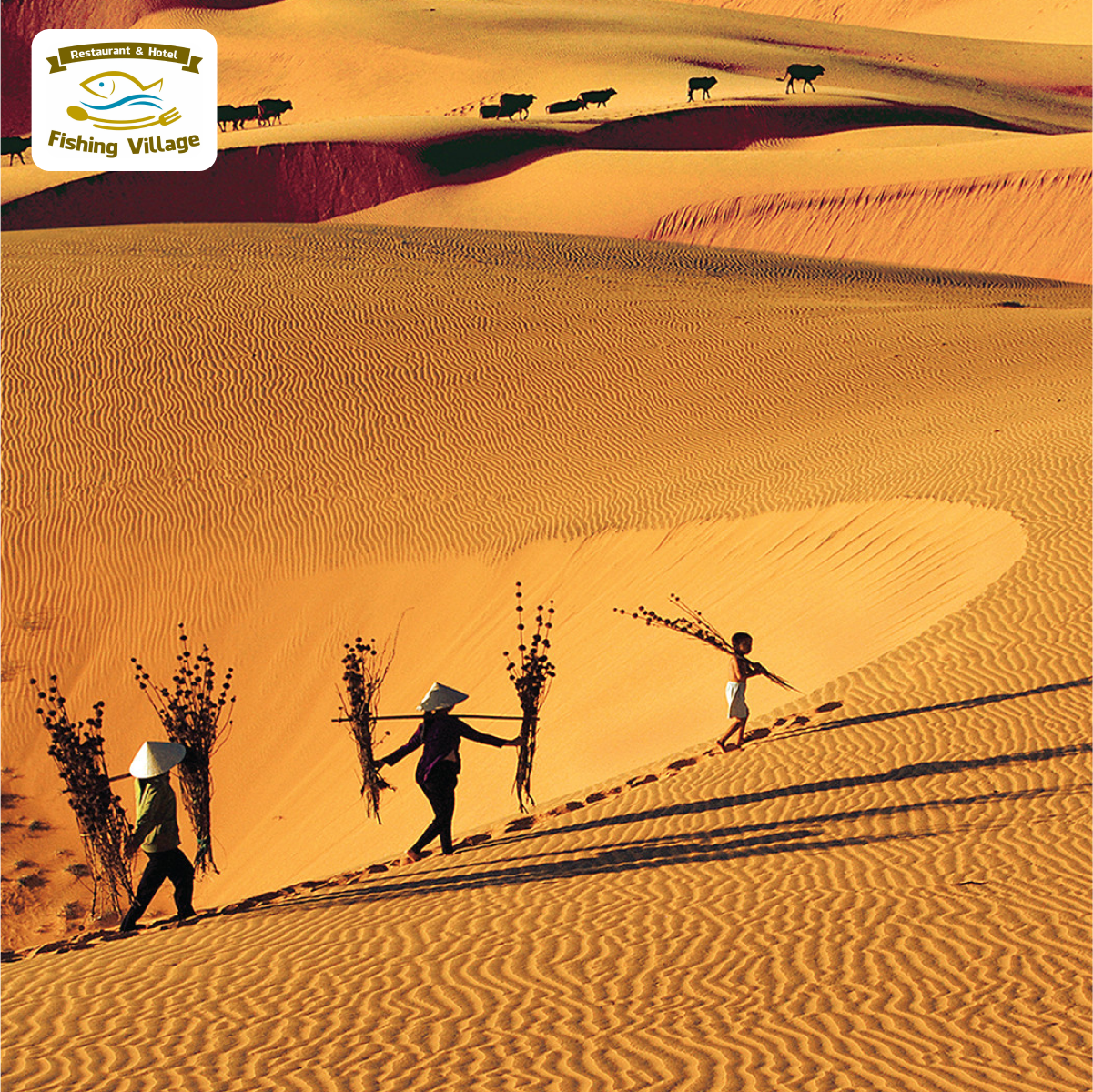 Đồi c&aacute;t Mũi N&eacute; - Địa điểm kh&ocirc;ng thể bỏ qua khi đến Mũi N&eacute;