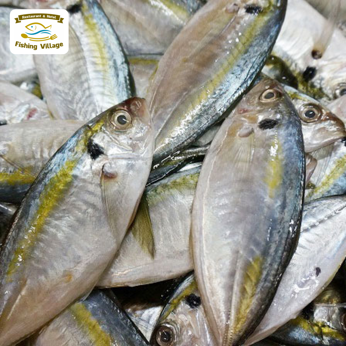 Phụ nữ c&oacute; bầu c&oacute; ăn được hải sản kh&ocirc;ng?